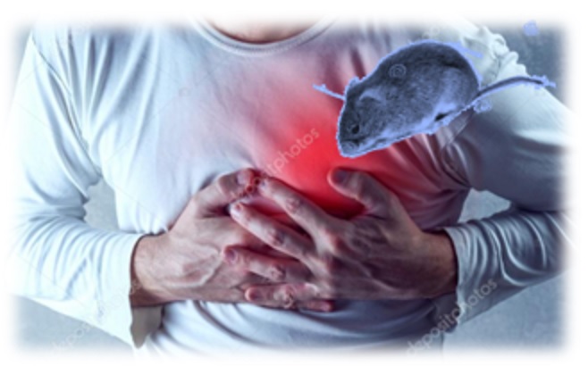 ФАНТОМИЙ БІЛЬ ТЕРЗАЄ ДУШУ...